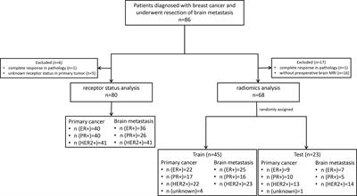 Radiomic Signatures for Predicting Receptor Status in Breast Cancer Brain Metastases